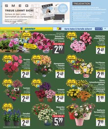 Blumen im E center Prospekt "Wir lieben Lebensmittel." mit 20 Seiten (Augsburg)