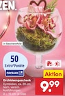 Orchideengeschenk Angebote bei Netto Marken-Discount Gotha für 9,99 €