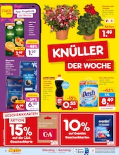 Aktueller Netto Marken-Discount Prospekt mit Pflanzen, "Aktuelle Angebote", Seite 2
