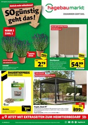 Aktueller Hagebaumarkt Baumarkt Prospekt in Viersen und Umgebung, "SO günstig geht das!" mit 18 Seiten, 05.07.2025 - 12.07.2025