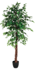 Ficus H.180cm à 49,99 € dans le catalogue Maxi Bazar