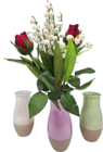 7 BRINS DE MUGUET + 2 ROSES VASE VERRE - SANS MARQUE en promo chez Auchan Hypermarché Herblay à 7,49 €