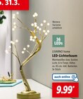 LED-Lichterbaum Angebote von LIVARNO home bei Lidl Koblenz für 9,99 €