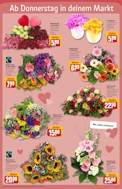 Ähnliche Badfarbe Angebote im Prospekt "Dein Markt" von REWE Ähnliches Angebot bei REWE in Prospekt "Dein Markt" gefunden auf Seite 7