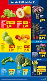 Pflanzen Angebot im aktuellen Lidl Prospekt auf Seite 7