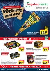 Aktueller Hagebaumarkt Baumärkte Prospekt in Lathen und Umgebung, "Feuerwerksverkauf" mit 4 Seiten, 29.12.2025 - 31.12.2025