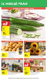 Plante Verte en promo dans le catalogue Carrefour Market à la page 22