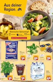 Ähnliche Heckenpflanzen Angebote im Prospekt "Dein Markt" von REWE in Mönchengladbach Ähnliche Angebote wie Heckenpflanzen im Prospekt "Dein Markt" auf Seite 4 von REWE in Mönchengladbach