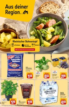 Pflanzen im aktuellen REWE Prospekt (Mönchengladbach) Pflanzen im REWE Prospekt "Dein Markt" mit 32 Seiten (Mönchengladbach)