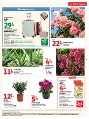 Promos Terreau dans le catalogue "LA FÊTE DE MAMAN" de Auchan Hypermarché Terreau en promo dans le catalogue Auchan Hypermarché à la page 5
