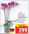 Schmetterlingsorchideen von EDEKA Heimatliebe im aktuellen E center Prospekt