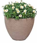 Aktuelle Blumentopf Angebote bei GLOBUS in Jena Aktuelles Pflanzgefäß mit Rillenoptik Angebot bei GLOBUS in Jena ab 9,99 €