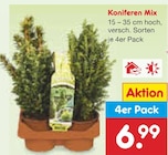 Netto Marken-Discount Glowe - Koniferen Mix Angebot im Prospekt Koniferen Mix bei Netto Marken-Discount im Glowe Prospekt für 6,99 €