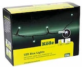 LED Rice Lights – 240 Lichter Angebote bei Pflanzen Kölle Rüsselsheim für 9,99 €