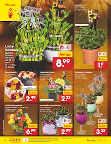 Blumen im Netto Marken-Discount Prospekt "Aktuelle Angebote" mit 61 Seiten (Oberhausen)