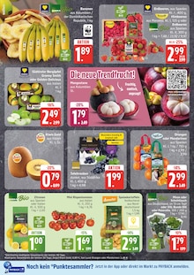 Garten Angebot im aktuellen EDEKA Prospekt auf Seite 6