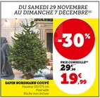 Sapin Nordmann Coupé en promo chez Super U Nanterre à 19,99 €