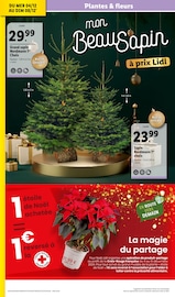 Sapin Noël Angebote im Prospekt "Des fêtes magiques !" von Lidl auf Seite 40