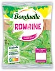 Romaine à Intermarché dans Connaux