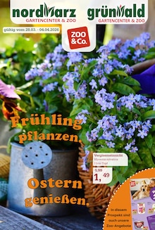 Pflanzen im Garten-Center Nordharz GmbH & Co. KG Prospekt "Frühling pflanzen. Ostern genießen." mit 16 Seiten (Braunschweig)