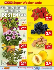 Erdbeeren im Netto Marken-Discount Prospekt "Aktuelle Angebote" mit 60 Seiten (Pforzheim)