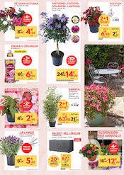Fleurs Angebote im Prospekt "Donnez vie à votre jardin !" von Trèfle Vert auf Seite 2