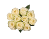 Rosen Exklusiv für 8,99 € bei Lidl im Angebot Rosen Exklusiv im aktuellen Lidl Prospekt