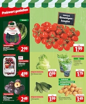 Tomaten im famila Nordost Prospekt in Norderstedt Aktueller famila Nordost Prospekt mit Tomaten, "besser als gut!", Seite 4
