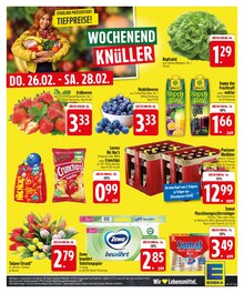 Pflanzen im aktuellen EDEKA Prospekt (Regensburg) Pflanzen im EDEKA Prospekt "Wir lieben Lebensmittel." mit 26 Seiten (Regensburg)