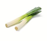 Porree von  im aktuellen Lidl Prospekt für 0,44 €