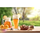 Bière aromatisée - ESTRIBOS en promo chez Carrefour Marignane à 1,39 €