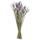 Trockenblumenstrauß Lavendel Angebote von TUNTRÄD bei IKEA Plauen für 2,49 €