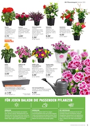 Werkzeug Angebot im aktuellen OBI Prospekt auf Seite 3