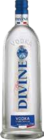 Vodka Angebote von Divine bei Getränkewelt HSE Dorsten für 6,99 €