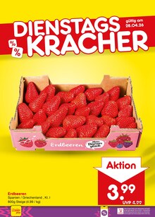 Erdbeeren im Netto Marken-Discount Prospekt "Aktuelle Angebote" mit 61 Seiten (Koblenz)