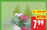 Freiland-pflanzen-Mix für 7,99 € bei EDEKA im Angebot Freiland-pflanzen-Mix im aktuellen EDEKA Prospekt