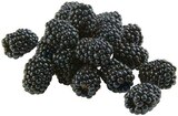 Brombeeren im Angebot bei REWE in Bruchsal Brombeeren Angebote von REWE Regional bei REWE Bruchsal für 1,99 €
