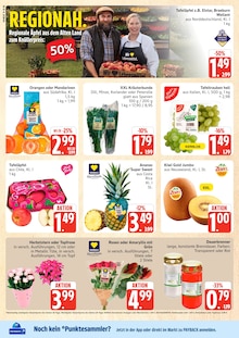 Blumen im aktuellen E center Prospekt (Rostock) Blumen im E center Prospekt "Top Angebote" mit 40 Seiten (Rostock)