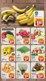 Bananen im aktuellen nahkauf Prospekt (Wuppertal) Bananen im nahkauf Prospekt "nichts liegt näher" mit 8 Seiten (Wuppertal)