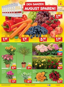 Tomaten im aktuellen Netto Marken-Discount Prospekt (Berlin) Tomaten im Netto Marken-Discount Prospekt "Aktuelle Angebote" mit 49 Seiten (Berlin)