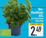 Bio-Basilikum XXL  im aktuellen EDEKA Prospekt für 2,49 €