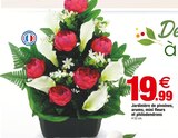 Jardinière de pivoines, arums, mini fleurs et philodendrons - Bazarland à Pau Jardinière de pivoines, arums, mini fleurs et philodendrons en promo chez Bazarland Pau à 19,99 €