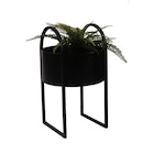 PFLANZTOPF 30/50 cm Schwarz im XXXLutz Prospekt PFLANZTOPF 30/50 cm Schwarz von Ambia Home im aktuellen XXXLutz Prospekt für 29,99 €