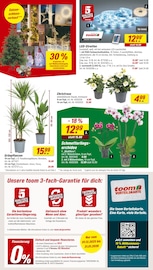 Weihnachtskugeln im toom Baumarkt Prospekt in Freital Aktueller toom Baumarkt Prospekt mit Weihnachtskugeln, "Respekt, wer's selber macht.", Seite 2