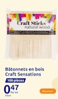 Bâtonnets en bois craft sensations dans le catalogue Action