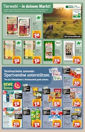 Kartoffeln im REWE Prospekt in Neuwied Aktueller REWE Prospekt mit Kartoffeln, "Dein Markt", Seite 21