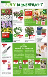 Aktueller ZG Raiffeisen Prospekt mit Gartenpflanzen, "Muttertag - Zeit für Dich!", Seite 2