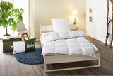 Kopfkissen ca. 40 x 80 cm im Angebot bei Lidl in Kassel Kopfkissen ca. 40 x 80 cm Angebote von Livarno Home bei Lidl Kassel für 7,99 €