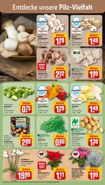 Pflanzen im REWE Prospekt in Memmingen Aktueller REWE Prospekt mit Pflanzen, "Dein Markt", Seite 7
