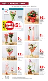 Offre Orchidée dans le catalogue Super U du moment à la page 16
